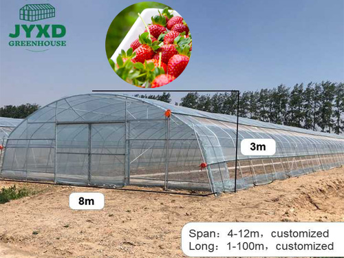 Strawberry greenhouse